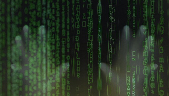 Kunstig intelligens ændrer erhvervslivet: Fra buzzword til bundlinje